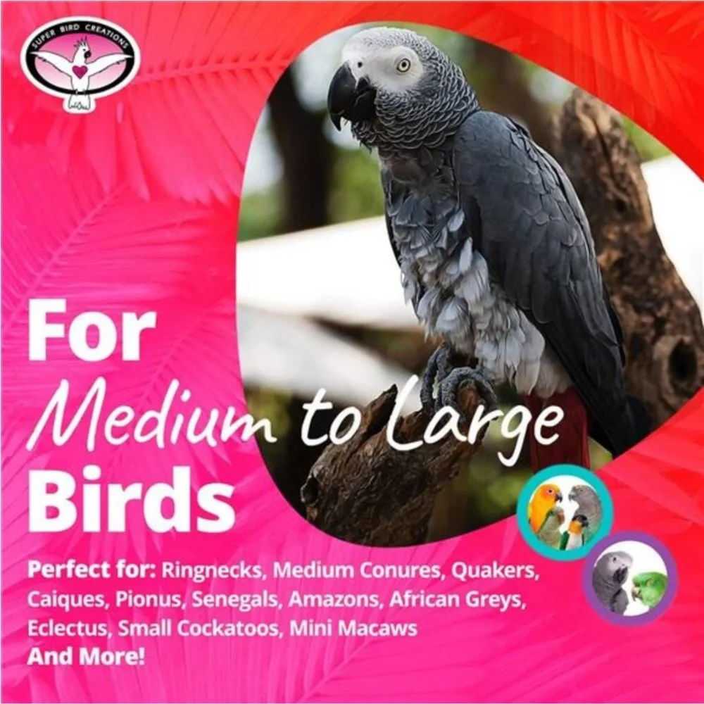 PVC Forager Bird Toy, Medium/Large Bird Size, 3” x 5” x 8”